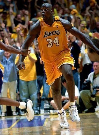 肌肉记忆 肌肉记忆